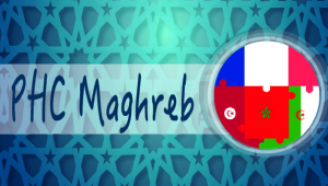 Programme PHC Maghreb 2020 : Appel à candidatures